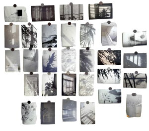 mhi[nŉ |XgJ[h 30Zbg ͂TCY k ؍ CO CeA G ~j|X^[