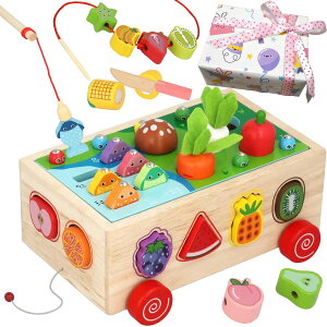 多機能モンテッソーリ知育玩具 - 木製型はめ・魚釣り・紐通し・おままごとセット | カラフルで片付け簡単 | 安全素材使用 | popoma