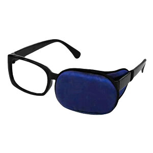 yڂ̕یɍœKzKlp  IV ዾ Ύ Kl Jo[ Жڊ DESTONE