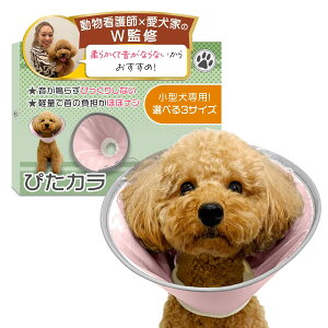 GUxXJ[ i҂Jjybt×gCv[2C̈ƊďCz^pxyʂŉȂfx\tg^Cvxp̃PApi