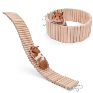 Chocople nX^[   ͂ tFX ؐ