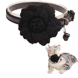 NOELAMOUR L  t   t[`[ y ybg lR Be Lp ߉\