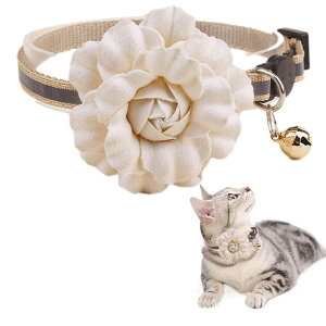 NOELAMOUR L  t   t[`[ y ybg lR Be Lp ߉\