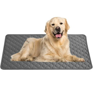 BIG&SO ybgV[c 􂦂 L   ybgV[g ybgp gC~}bg  EL R O[ x[W S M L TCY