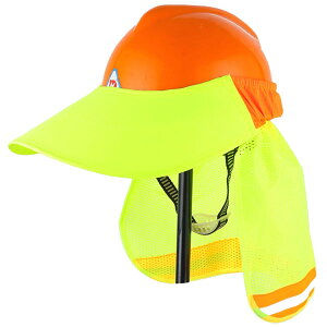 SALUDABLE wbg  tp Xq VF[h h^ SX ToCU[