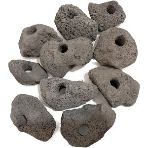 fm  e[ n  ANAE IuWF u   p CAEg n     _J YM-299-AY