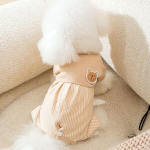 COZENTA   pEFA p㕞 Dp ی GUxXJ[