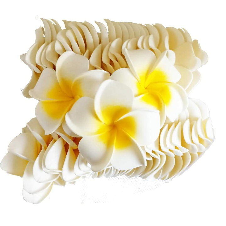 楽天市場】GLOBAL BOX プルメリア 造花 花のみ 7cm 白 黄 : Web shop 8tail
