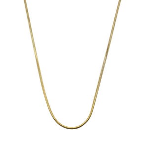 [v`WF] Petit-Germe lbNX T[WJXeX 316L N1001