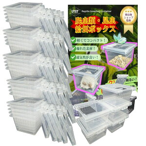 UTST P[X ^ Rei {bNX Ct vX`bN  E c ɐB