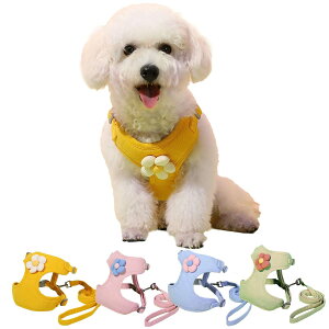 CLOGRATIA ` n[lX ps[pn[lX [h ^ gCv[h  U EȒP 