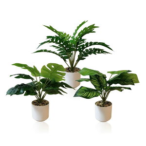 [RUNO] tFCNO[ lHϗtA    CeA t sv