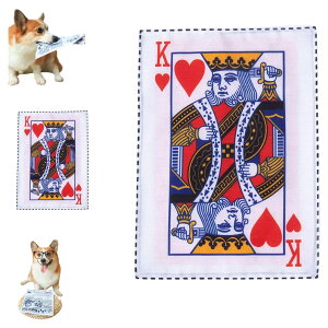 CONFORTEVOLE    łȂ̂ V  ̎ ̌N  XgX mߋ