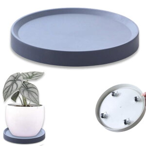 Neutral Zenith ϗtA  LX^[ Aؔ 󂯎M u v^[X^h ԑ 360°] K[fjO (O[, a24.5cm)