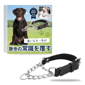 ŷ̂Ɂz g[jOɓ n[t`[N ^ ^ [v]×[̕Sy] Quiear