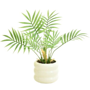 merrytime �t�F�C�N�O���[�� �ϗt�A�� ��� �~�j���V ���t�� �C���e���A�G�� �������� �f�X�N ���r���O ���� ���� �����O���[�� ���� �i�`������ ������ ���͋C���