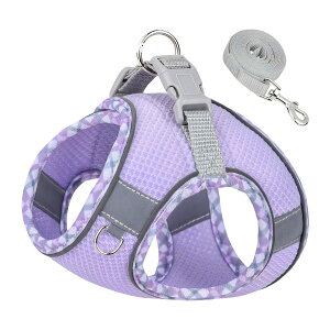 azumafy p n[lX  [ht ^ ^ U  [v n[lXZbg [hZbg jO g[jO L ˌ 킢 EȒP