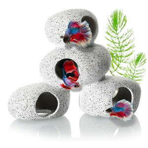 heizi ANAE   IuWF  B I[ig u _J Mы 