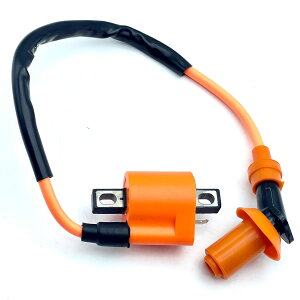 LEXOR oCN ėp COjbVRC }n Ή  COjbVRC JX^ TW200 225 Z[225 250 4JG 1KH TZR50 RZ50 YB-1