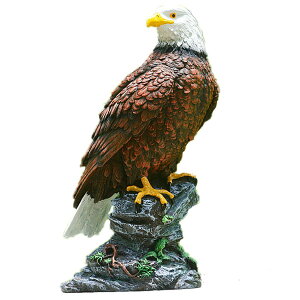 Quikaboo h V u IuWF ̑ JX h Q 悯 쒹 ng XY  ΍