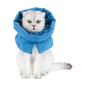 FUPUONE Aj}lbJ[ L \tg GUxXJ[ Lp _炩