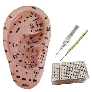 Quikaboo c{ ͌^ ̖͌^  c{ c{͌^ ڃV[ 17cm ږ͌^ ڃWG[