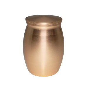 COZENTA  ~j ybg 茳{ ⍜  ⍜JvZ