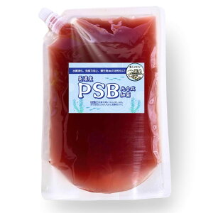 R߂ PSB ׋ 500ml Zx|{ oNeA P Ɖu͋