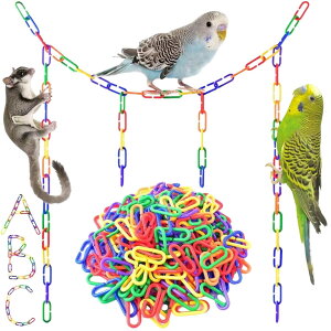 geneX K  `F[ 100 P[Wt\ tNK ߋ ʂ P[W Q[W 