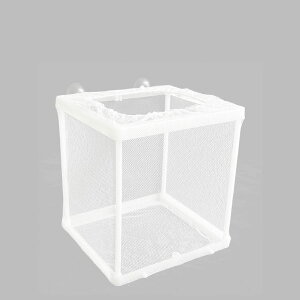 RIZES   _J  琬 u lbg P[X ANAE {bNX  Y Gr z Obs[ bV t ی z 