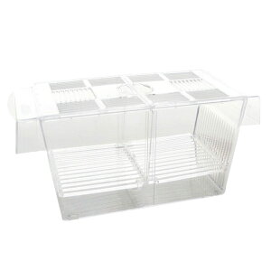 MaT store  uP[X ɐBu{bNX t  Mы ӏ {bNX AN