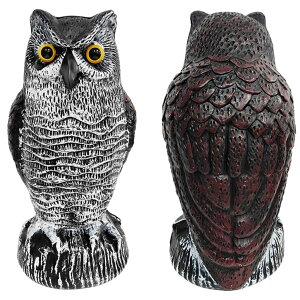 SakuraLovely8 悯 tNE u  co悯 Op Q΍