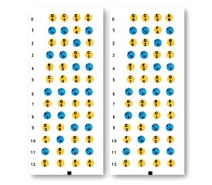 XPdesign EN w y S w K tbg V[ XebJ[ XP[ ENR[h wV[