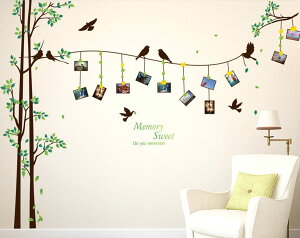 (Lt) EH[XebJ[ tHgt[    2Zbg (d290x205cm)(t@~[ R Cxg V[ XebJ[ ǎ)