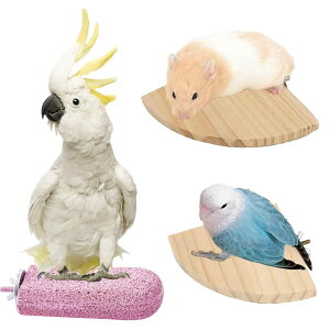 SALUDABLE ܂Ƃ Xebv Ƃ܂ X^h CR nX^[  K Zbg