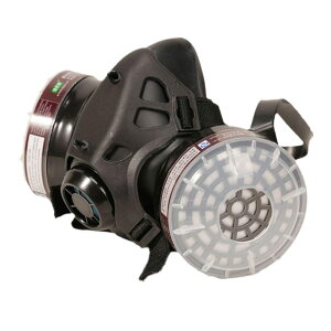 [PLEAVIT] KX}XN  RXv ToQ[ Rp _utB^[ ċz TCo[pN