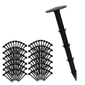 hV[g Œs  Y e y KтȂ Ԃt G΍ | 