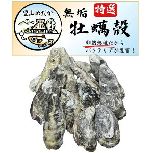 yYzIyk 10 M ANAE _J  Mы C   PH EL _h~