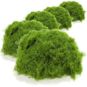 CHASO  RP X tFCNO[ ϗtA ~ WI} ͌^