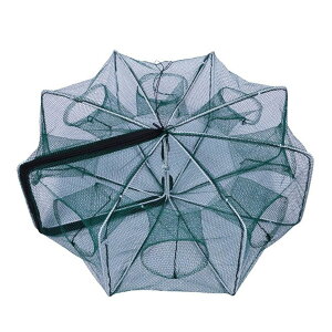 Jj Jj ܂肽ݎ ߂ 8 22cm  ߊl Ԃ ɐGr d|   ߊllbg ܂肽 RpNg