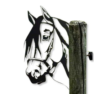 Lezalic K[fjO u  ACAv[g IuWF |  CeA EbhfbL