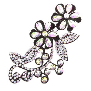 Micopuella Ќ_X wA ANZT[  wAs[X  CXg[  e _ _X (t[a)