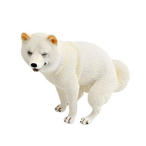 SALUDABLE  u tBMA ObY CeA ʔv[g G 