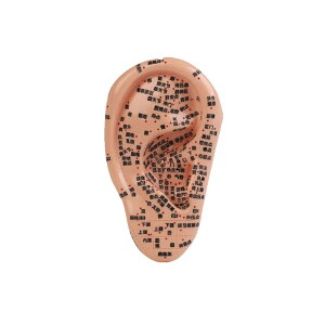 Alpha Depot c{ ͌^ 17cm  l̖͌^ }bT[W Kp c{ʒumF I g[jOp