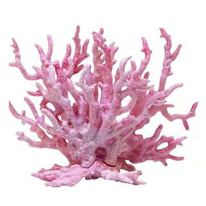 TOMMYFIELD �T���S �X�� �������� �l�H�X�� �A�N�A���E�� �����I�u�W�F ���� ���̉B��� [���s�A���i]