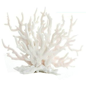 TOMMYFIELD TS X  lHX ANAE IuWF  ̉B [sAi]