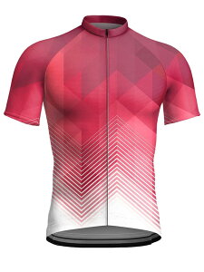 [bN]  TCNW[W Y ʋC  Xgb` oCNEFA ]ԃEFA [hoCN MTB  t H  VRoh 3DfW^vg