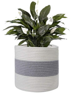 Crystal craft v^[Jo[ Aؔ  oXPbg yzCg x[W O[z