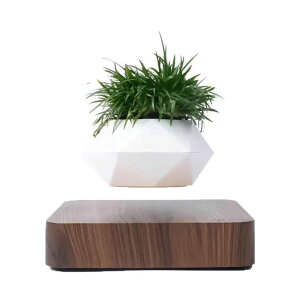 FGY ɕ~ v^[ ϗtA C A  Ebh ؖ  CeA