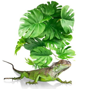 MaT store roE lHA Xe ঒  t  tFCN  A  ybgpi